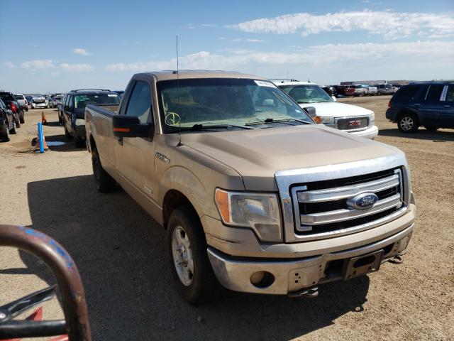 FORD F150 2013 1ftnf1et8dkf65992