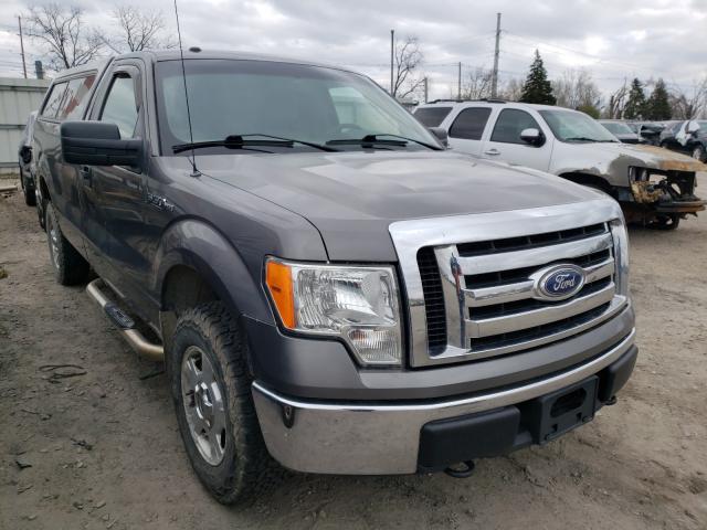 FORD F150 2010 1ftnf1ev8akc35850