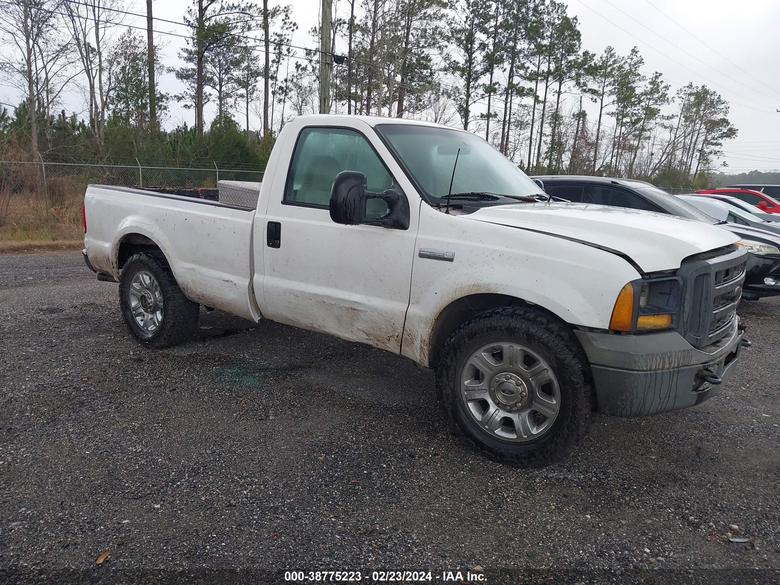 FORD F250 2005 1ftnf20515ea32431