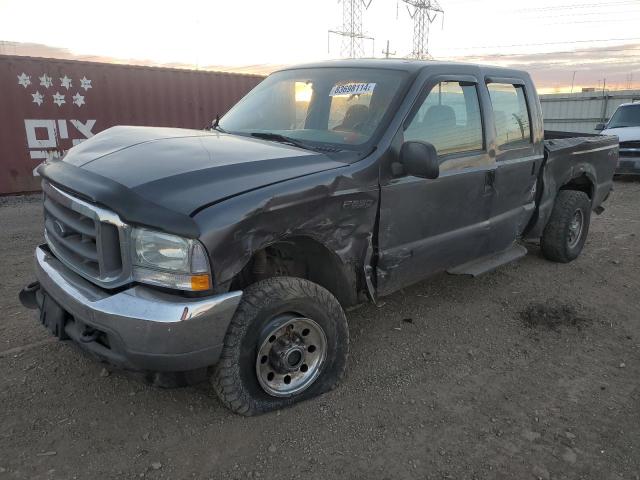 FORD F250 SUPER 2004 1ftnw21l84ea87616