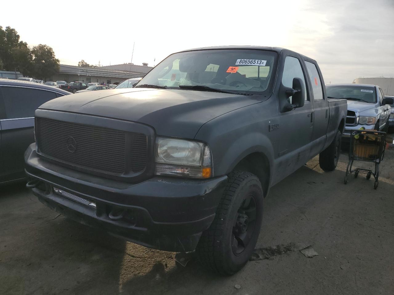 FORD F250 2004 1ftnw21p64ed17446