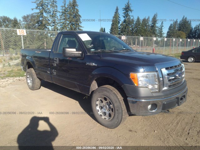 FORD F-150 2011 1ftpf1ef9bkd05813