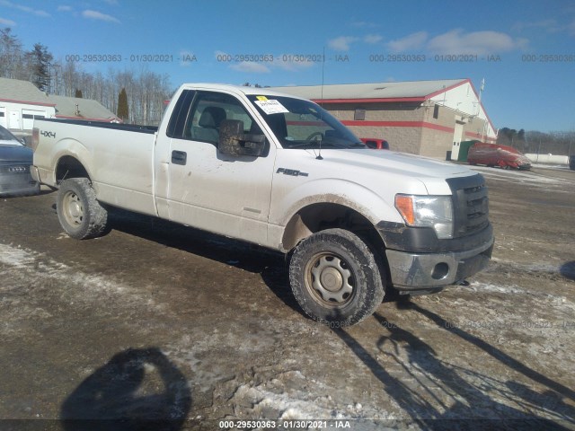 FORD F-150 2012 1ftpf1et3cke03307