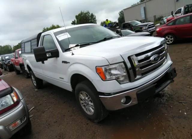 FORD F-150 2012 1ftpf1et8ckd42200