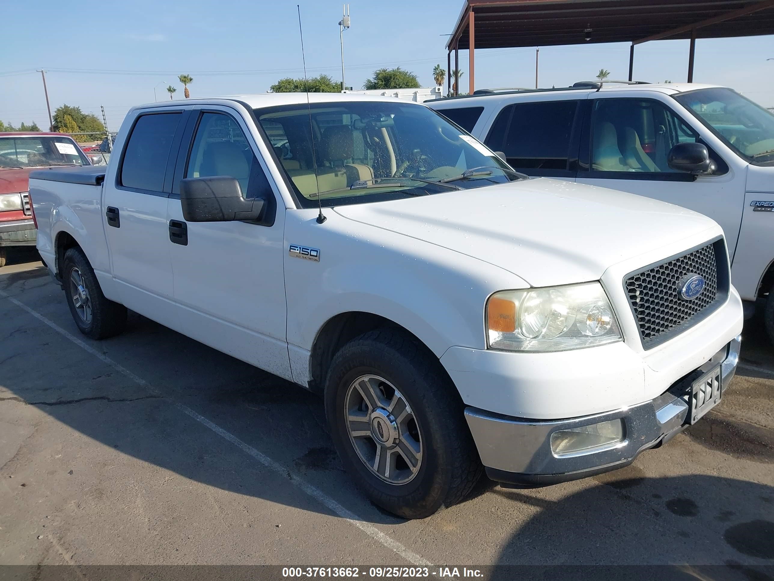 FORD F-150 2005 1ftpw12535kf00516