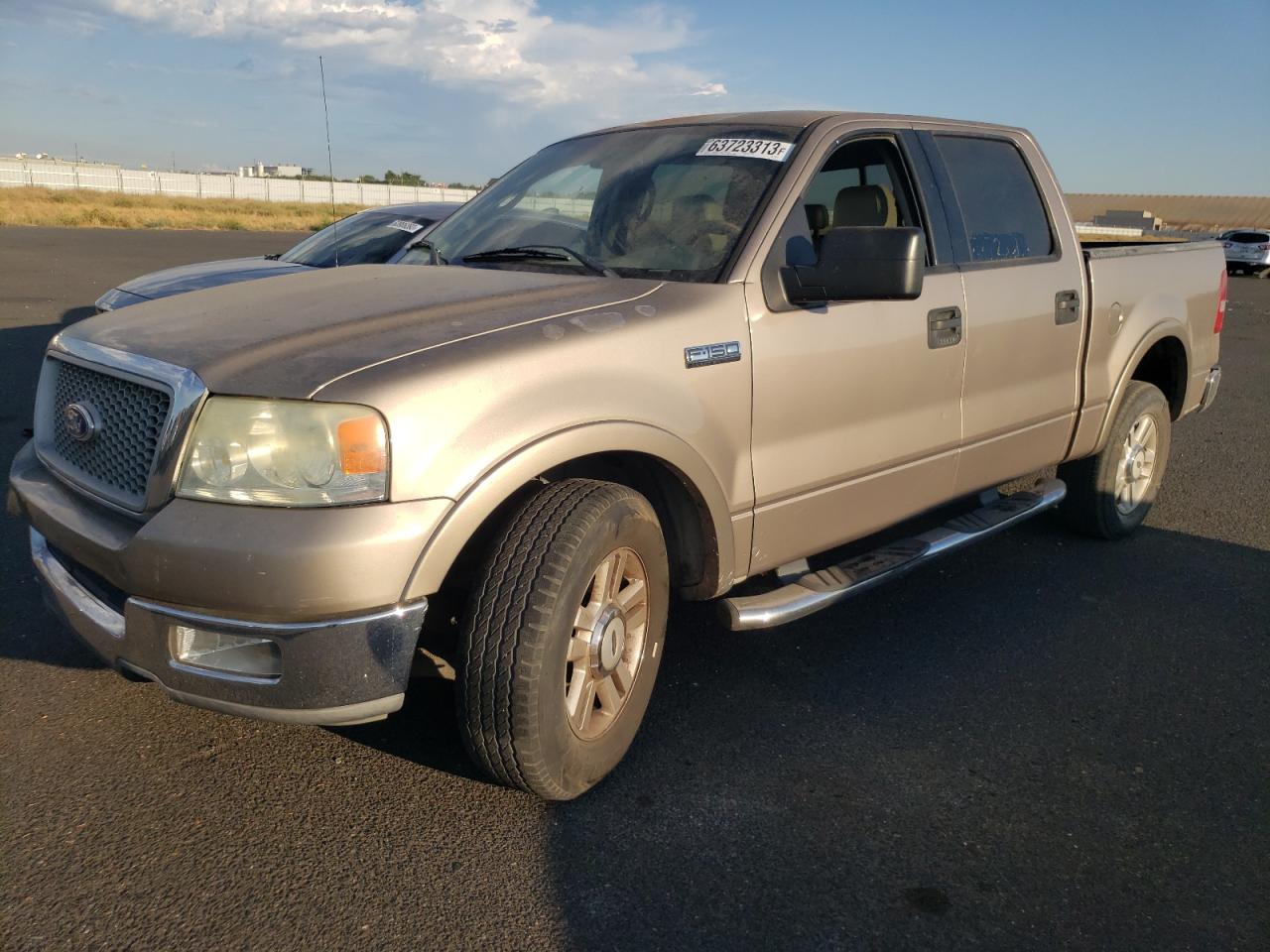 FORD F-150 2004 1ftpw125x4kd86321