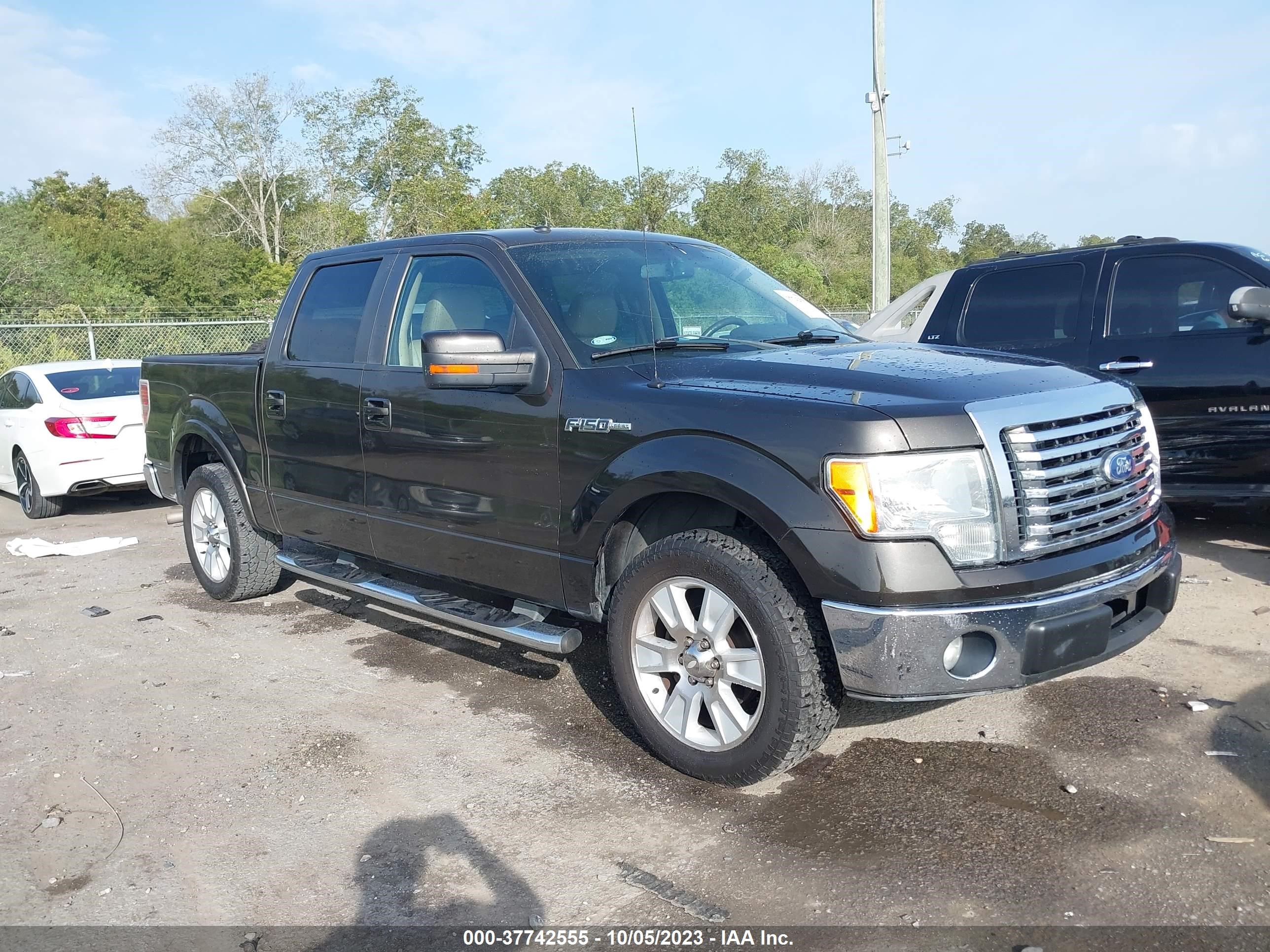 FORD F-150 2009 1ftpw12v39kc44044