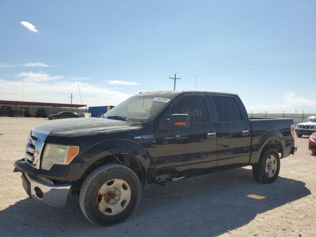 FORD F-150 2009 1ftpw12v59kc78017