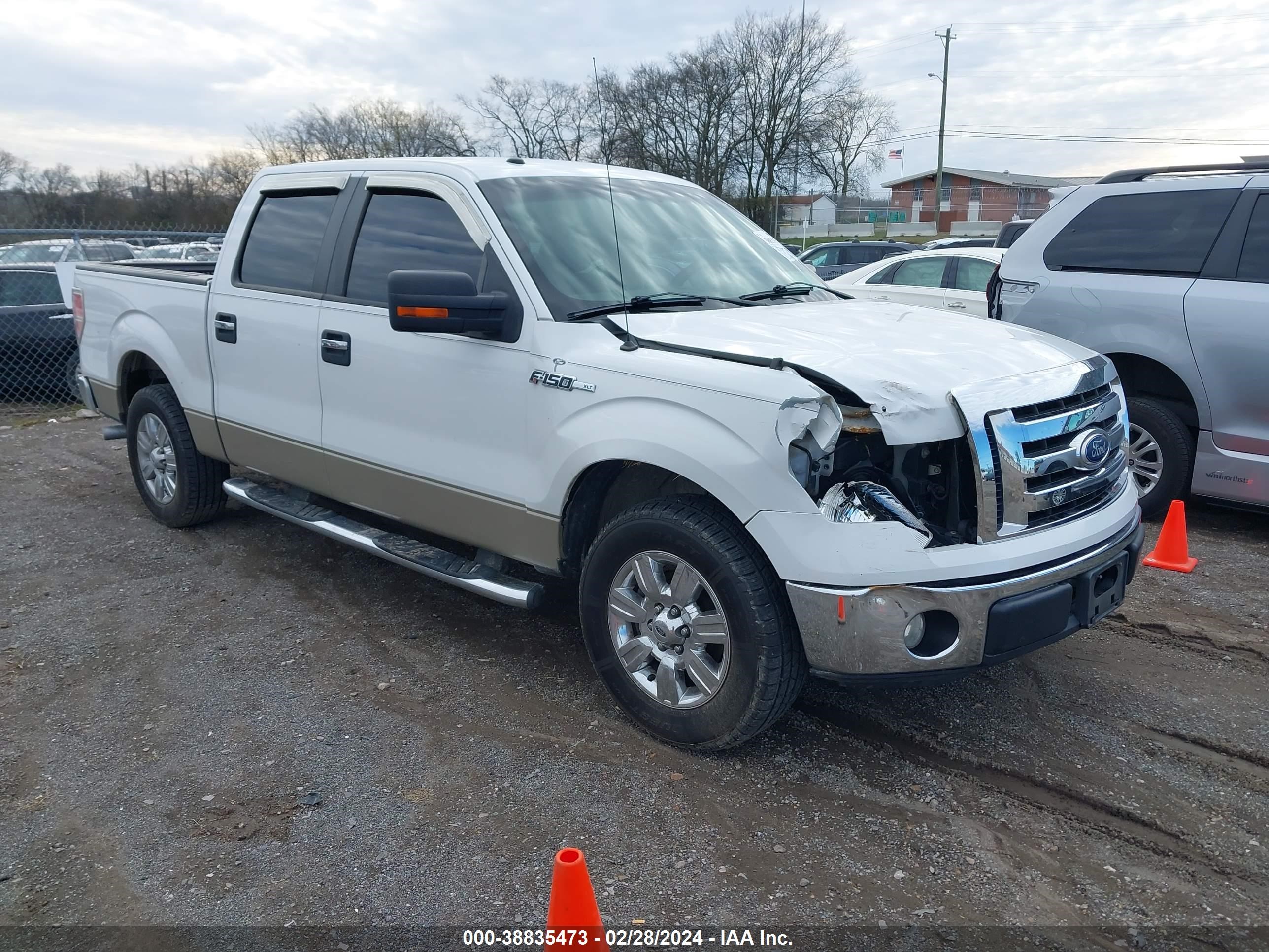 FORD F-150 2009 1ftpw12vx9fb41017