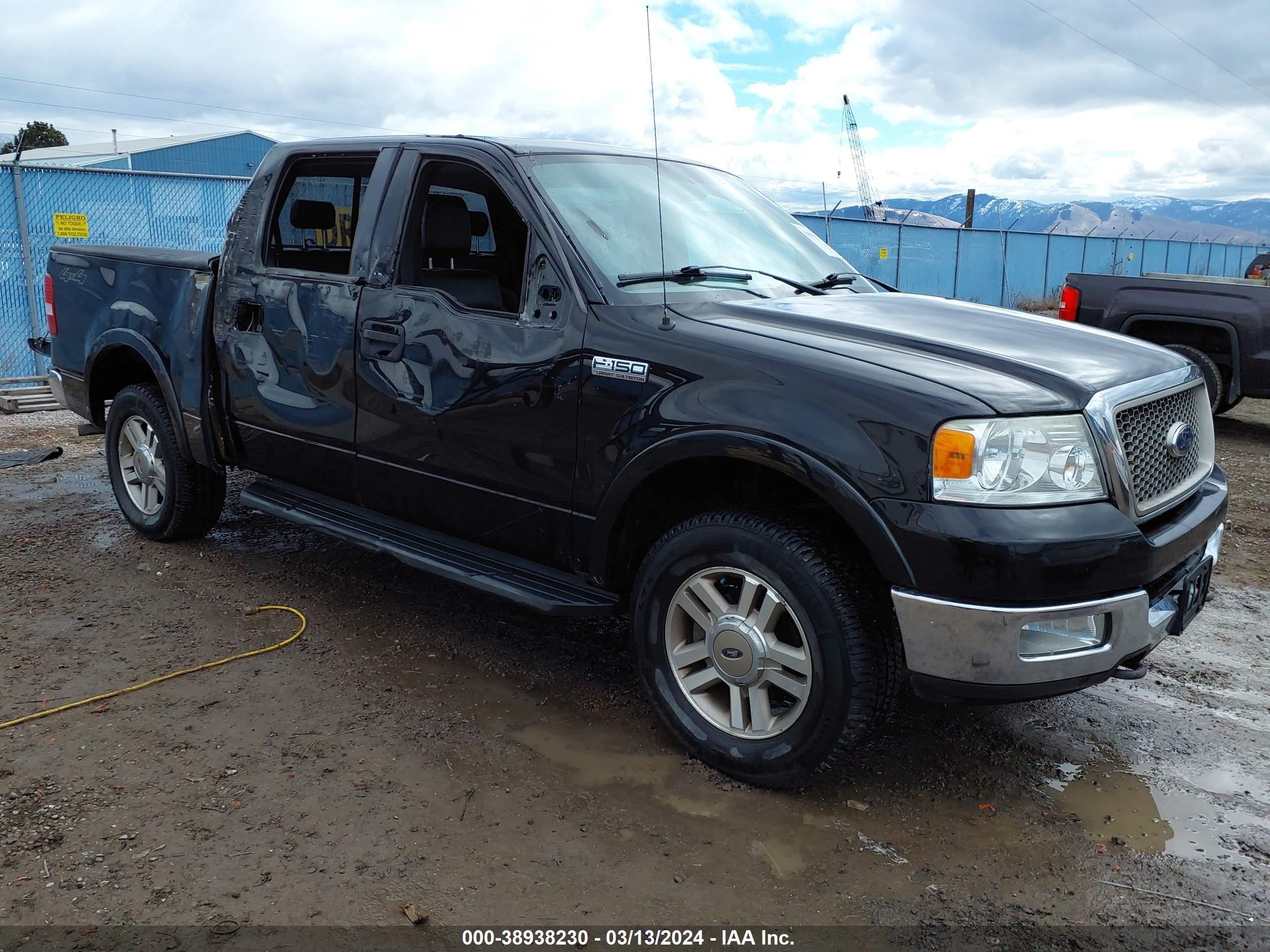 FORD F-150 2005 1ftpw14505fb46119