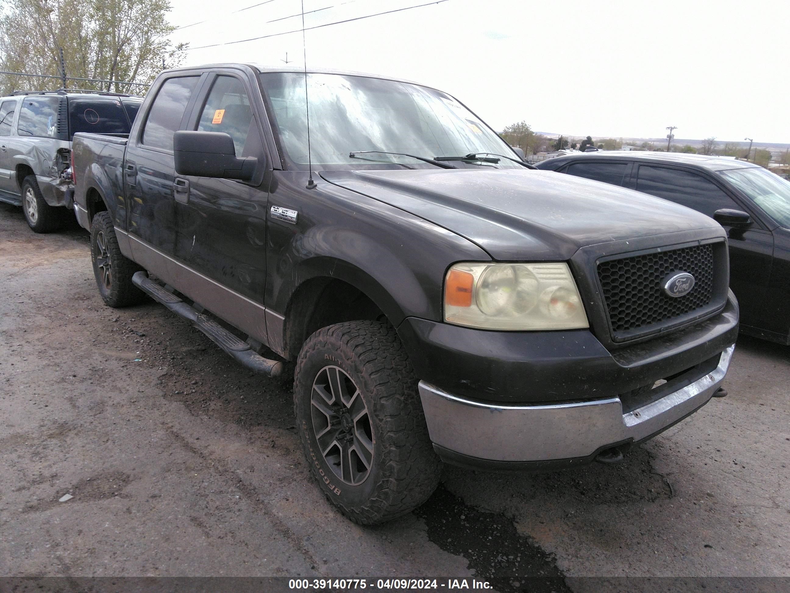 FORD F-150 2005 1ftpw14505fb48341