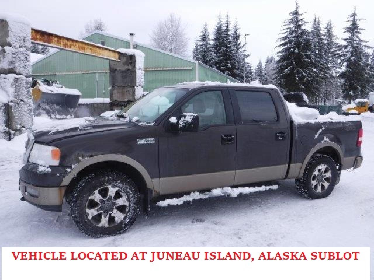 FORD F-150 2005 1ftpw14505ke79735