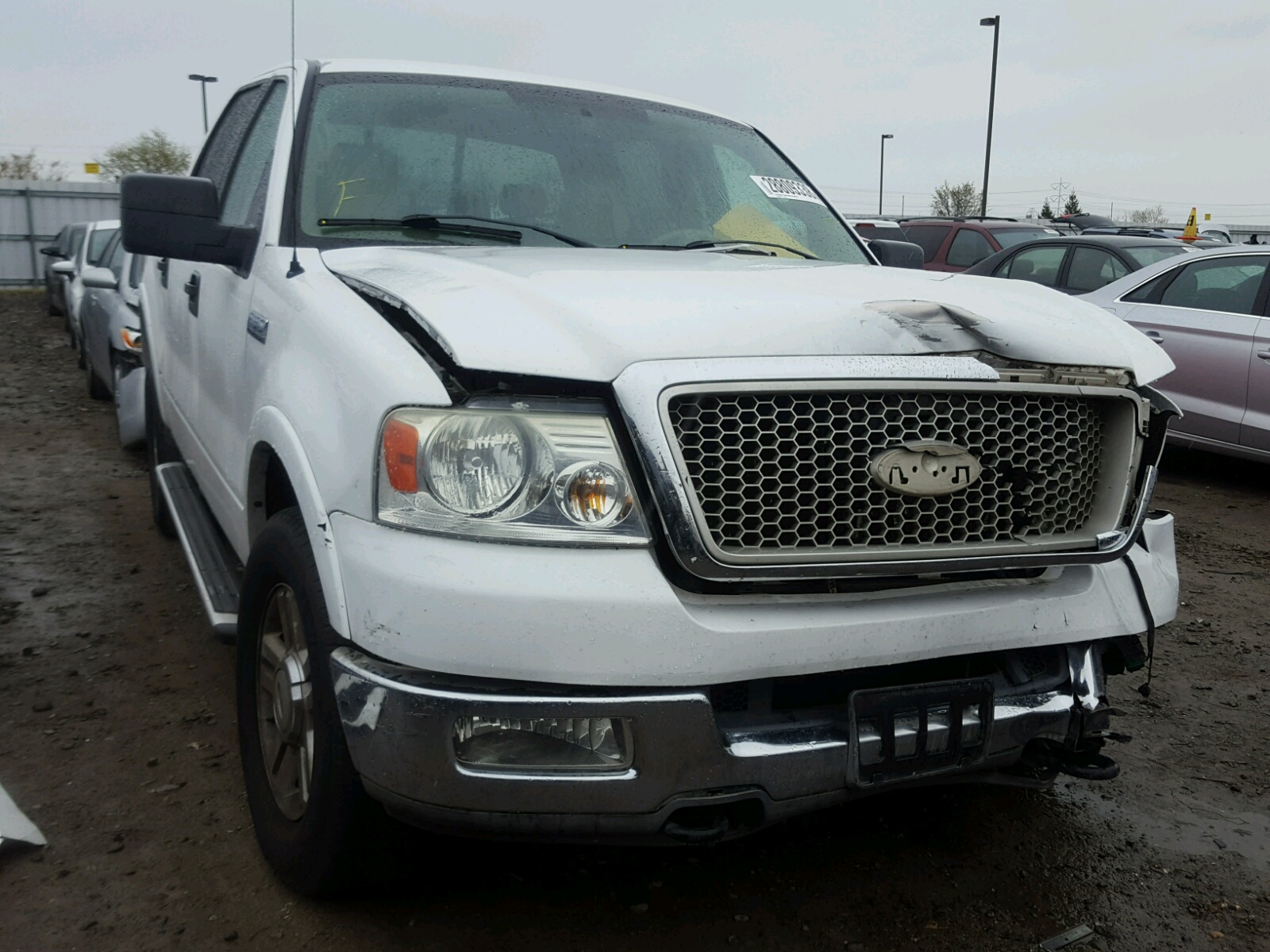 FORD F-150 2004 1ftpw14514kd03369