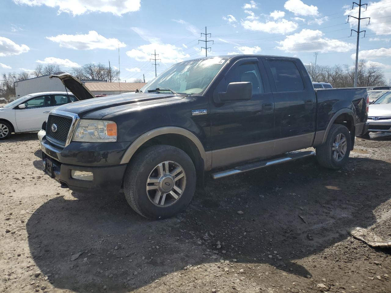 FORD F-150 2005 1ftpw14515fb29040