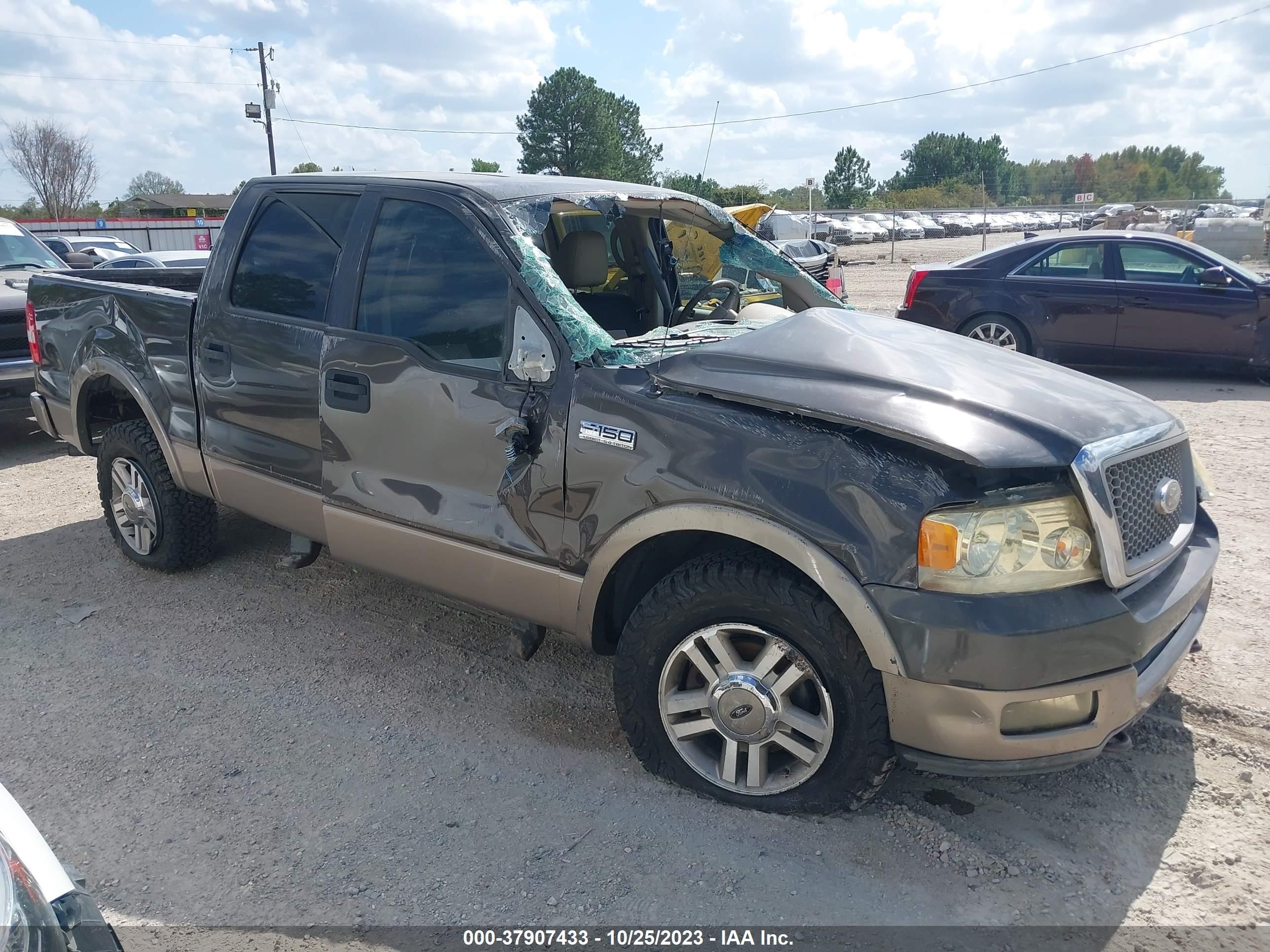 FORD F-150 2005 1ftpw14515kc33146