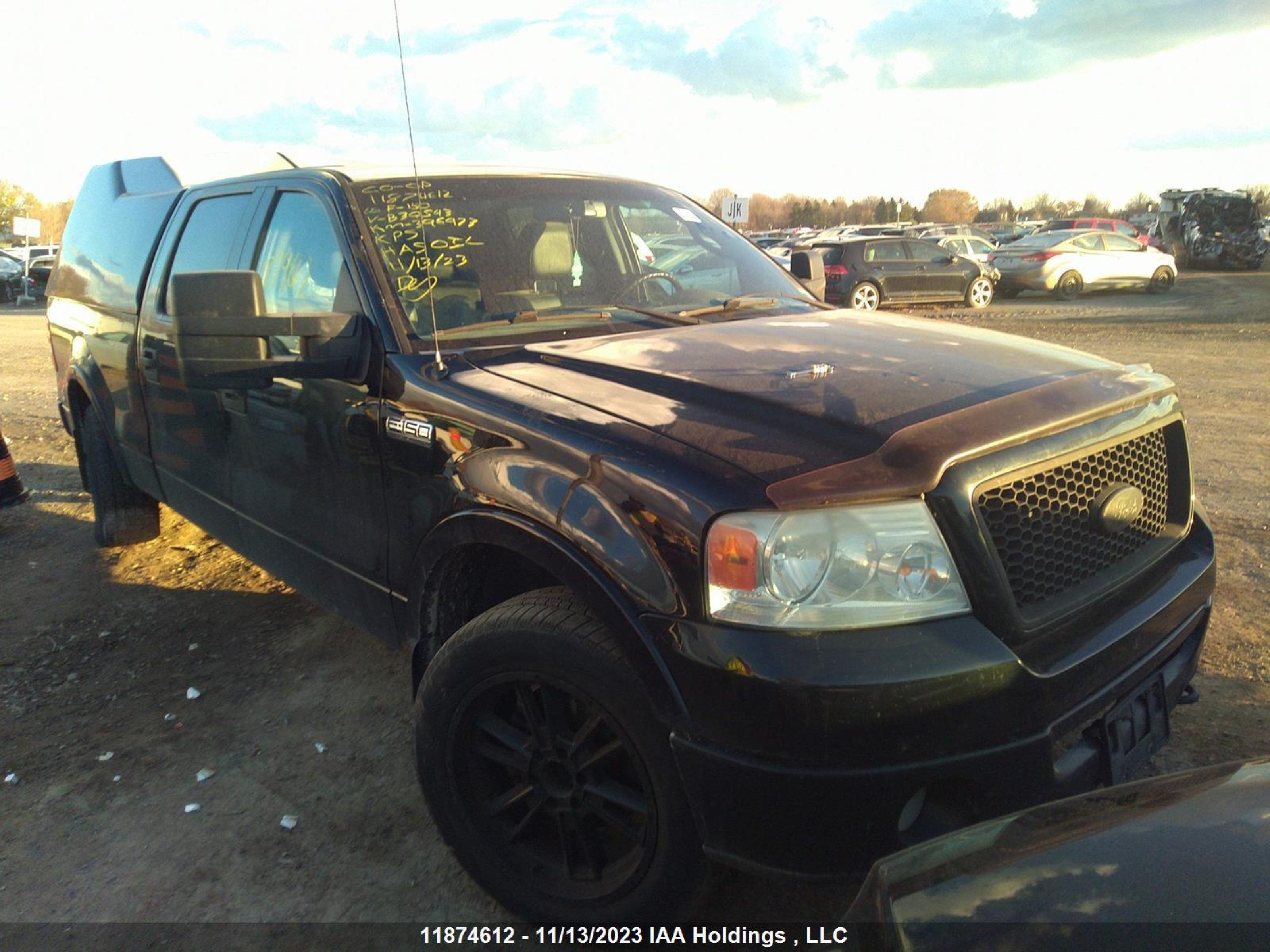 FORD F-150 2006 1ftpw14516fb30593