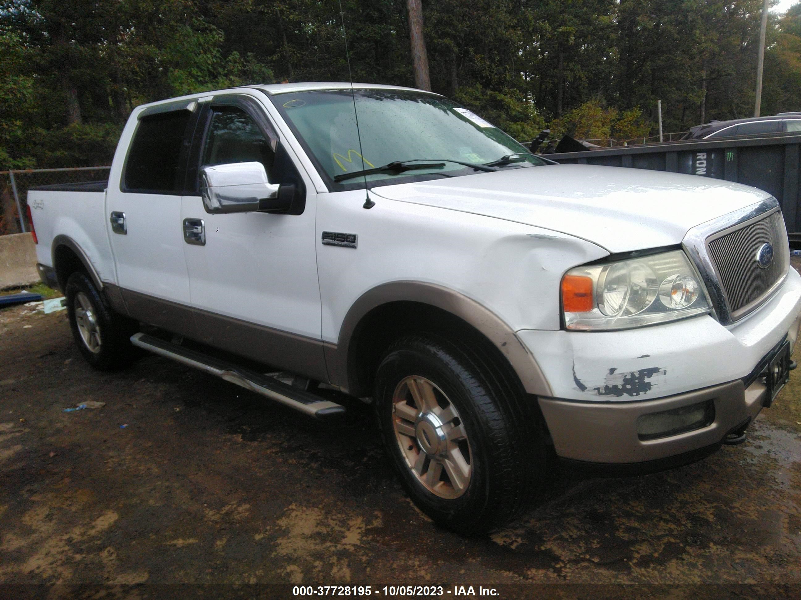 FORD F-150 2005 1ftpw14525fb03479