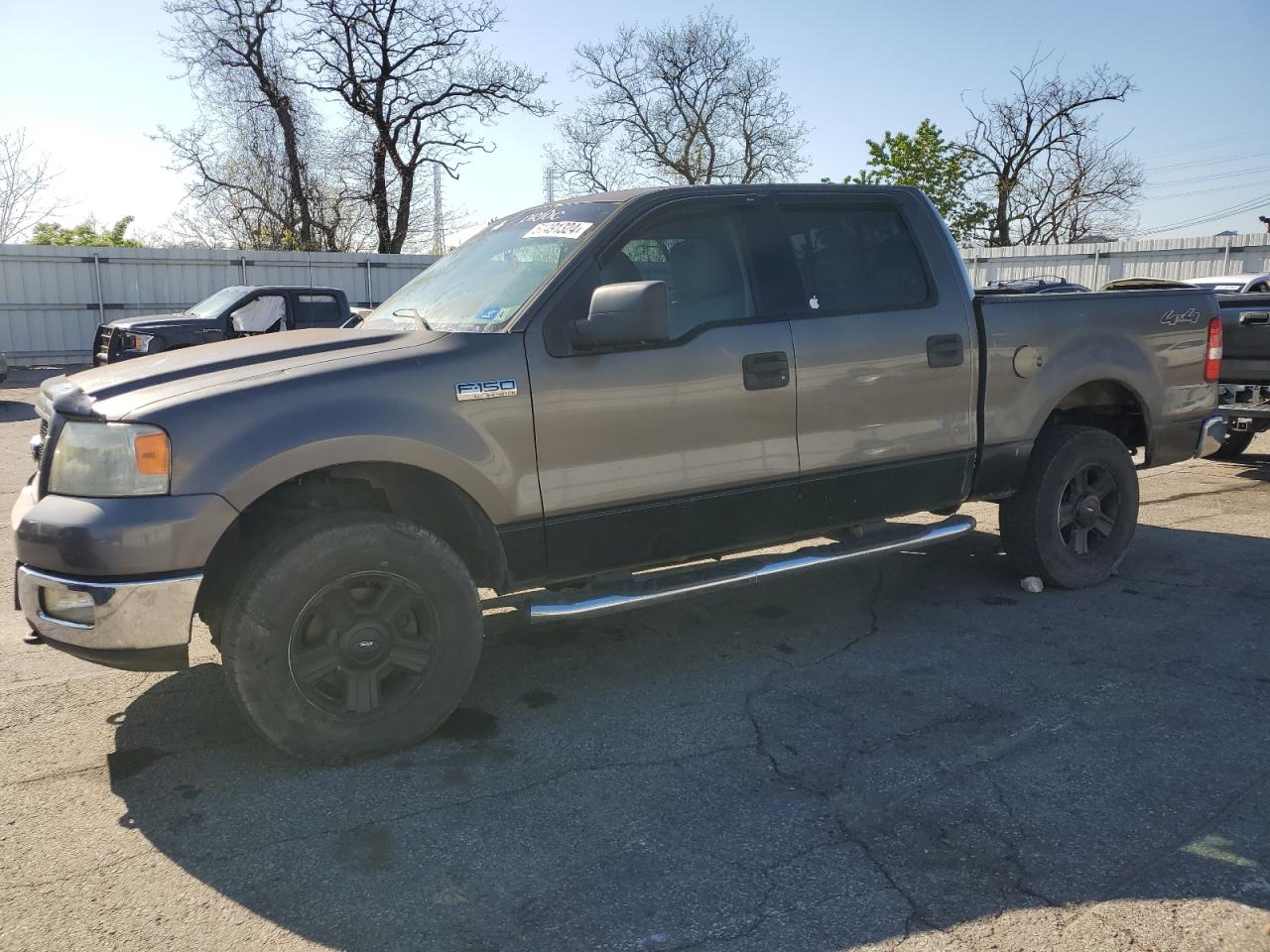 FORD F-150 2004 1ftpw14534fa25339