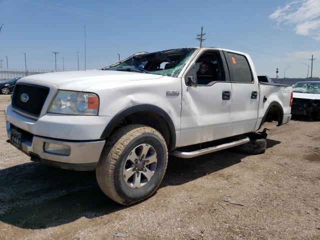 FORD F-150 2004 1ftpw14534kd39869