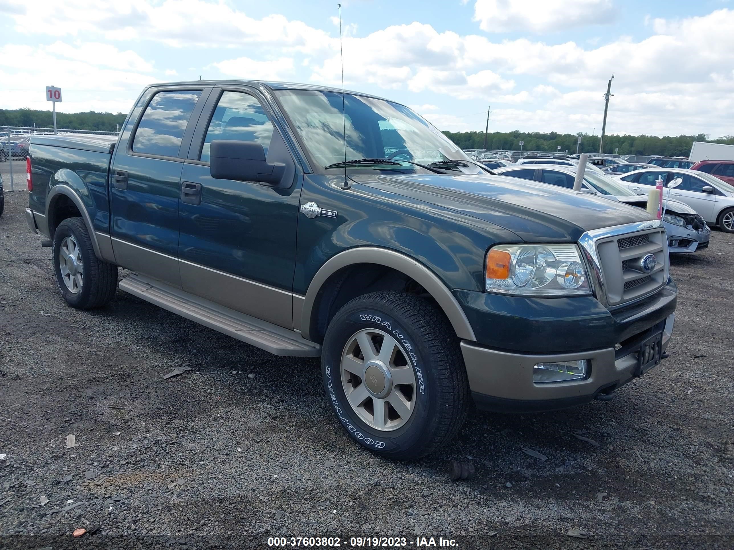 FORD F-150 2005 1ftpw14535kd80259