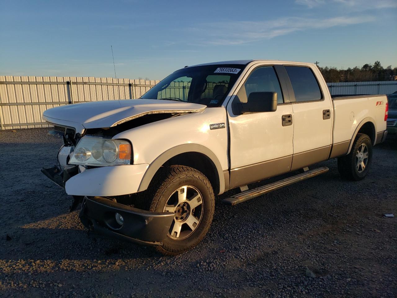 FORD F-150 2006 1ftpw14536fa82952