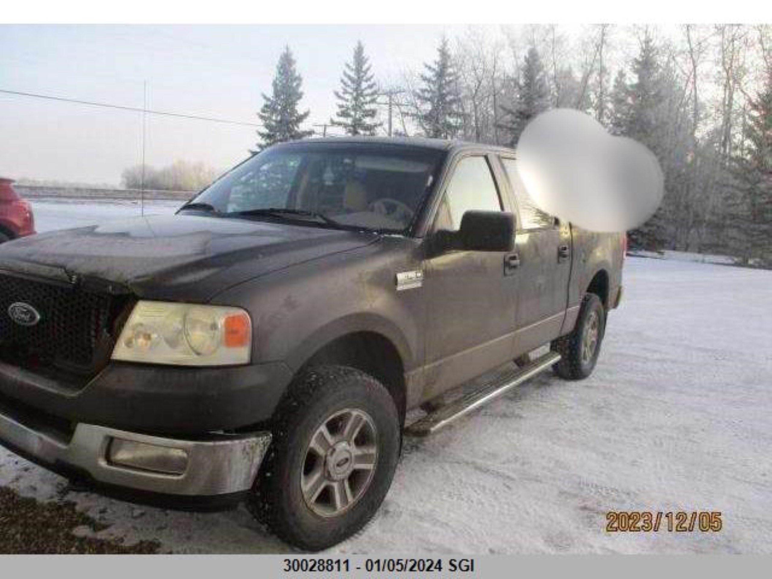 FORD F-150 2005 1ftpw14545fb48603