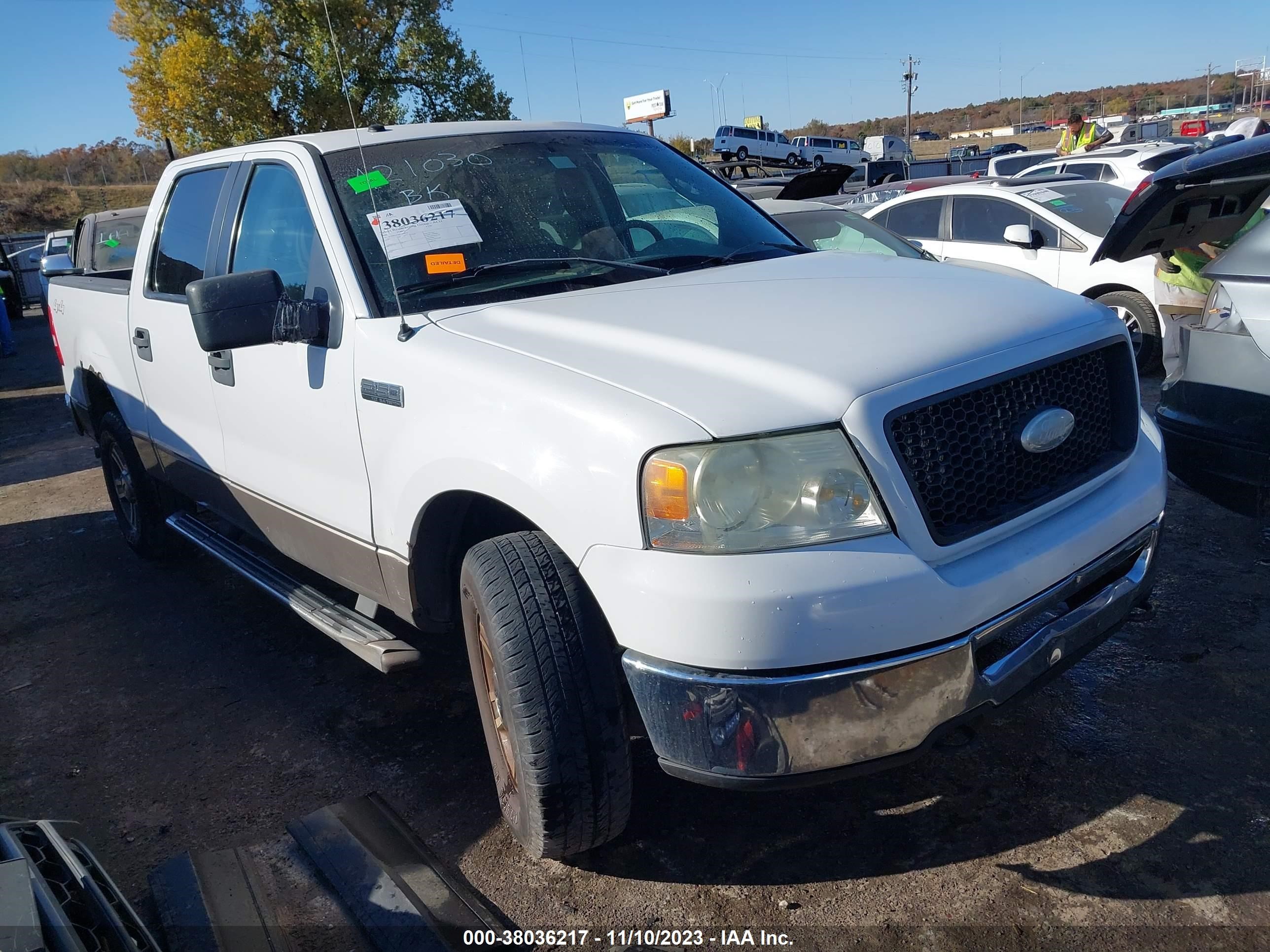 FORD F-150 2006 1ftpw14546fa21030