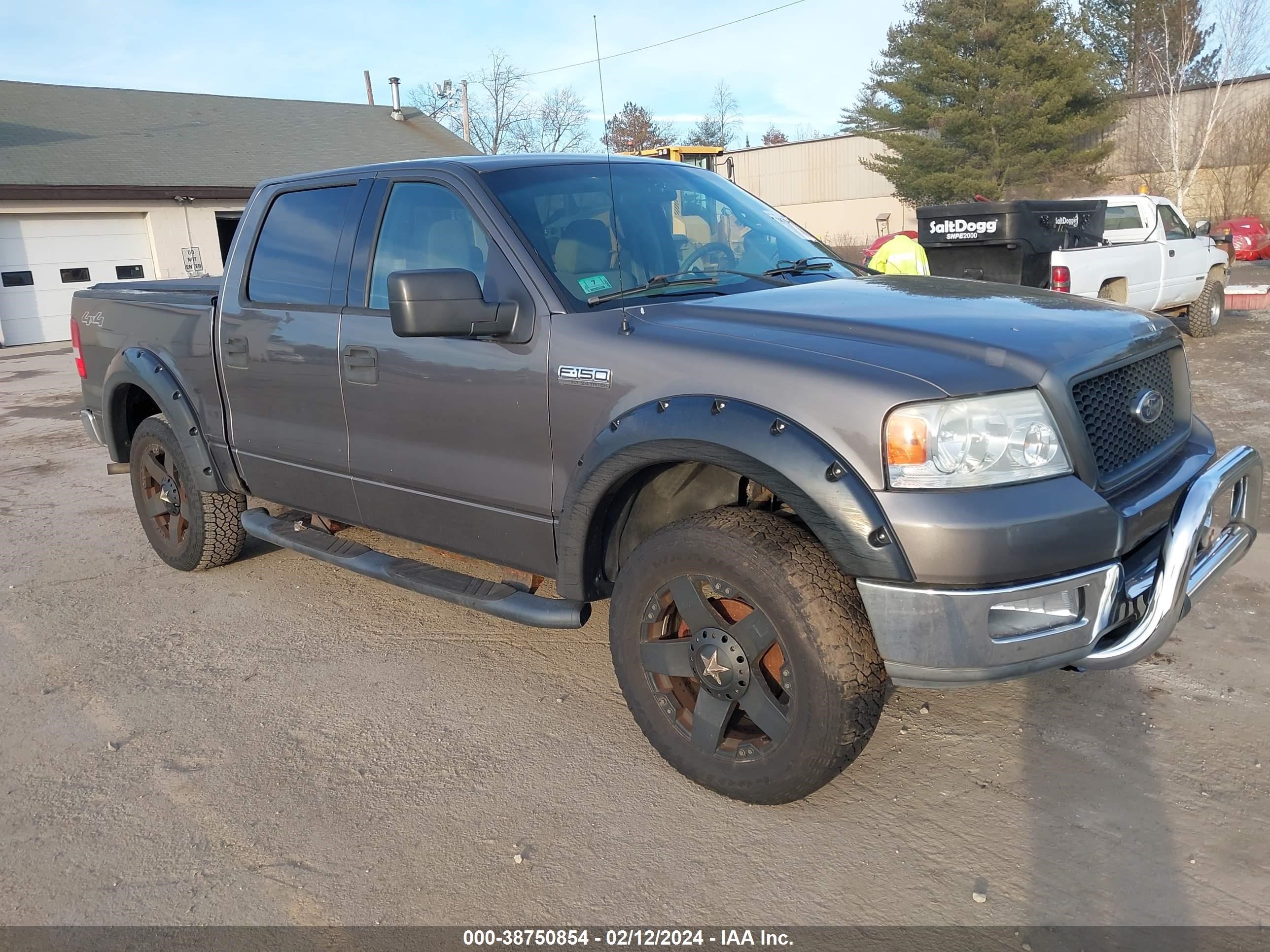 FORD F-150 2004 1ftpw14554fa12544