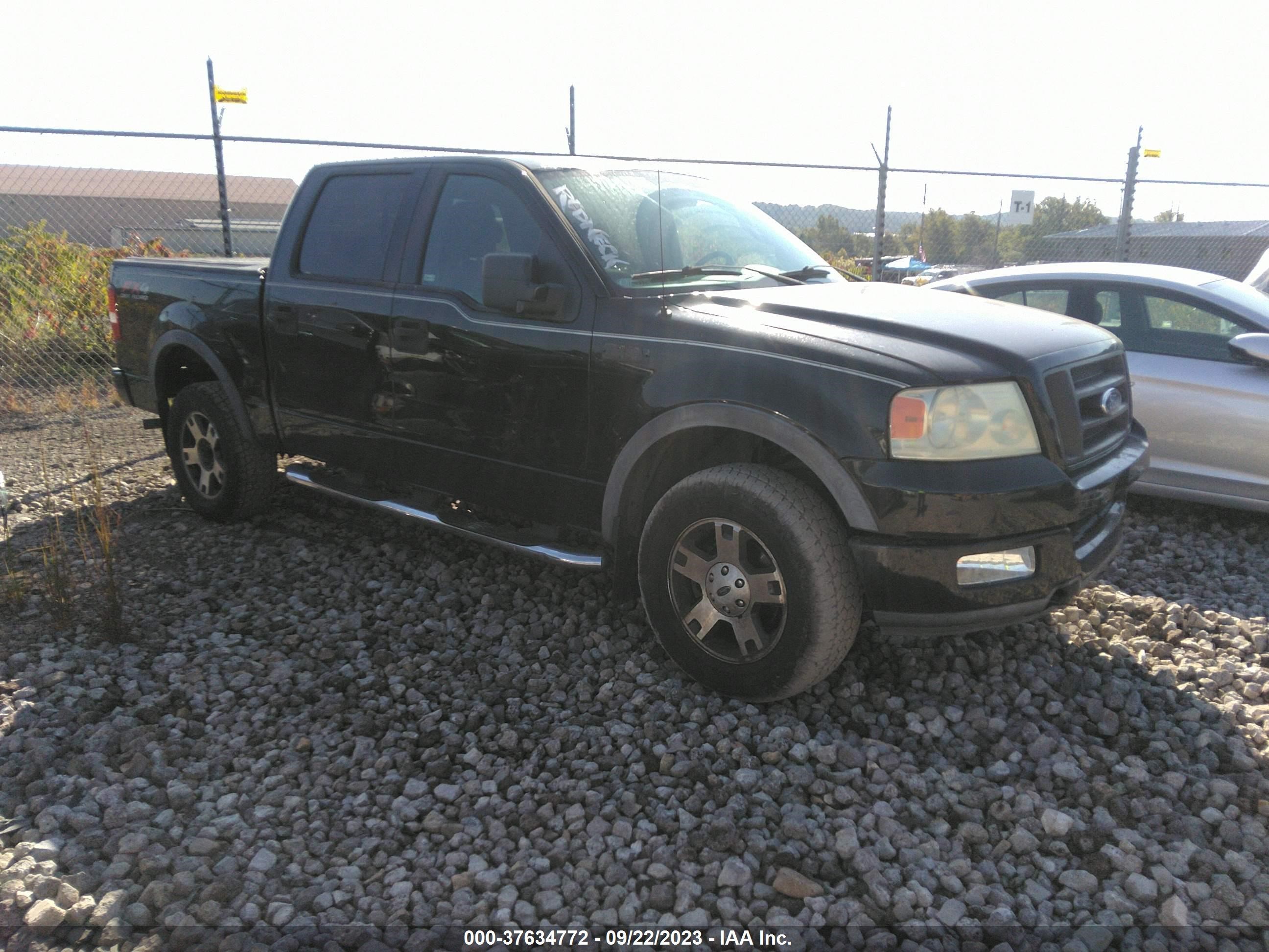 FORD F-150 2004 1ftpw14554kd27352