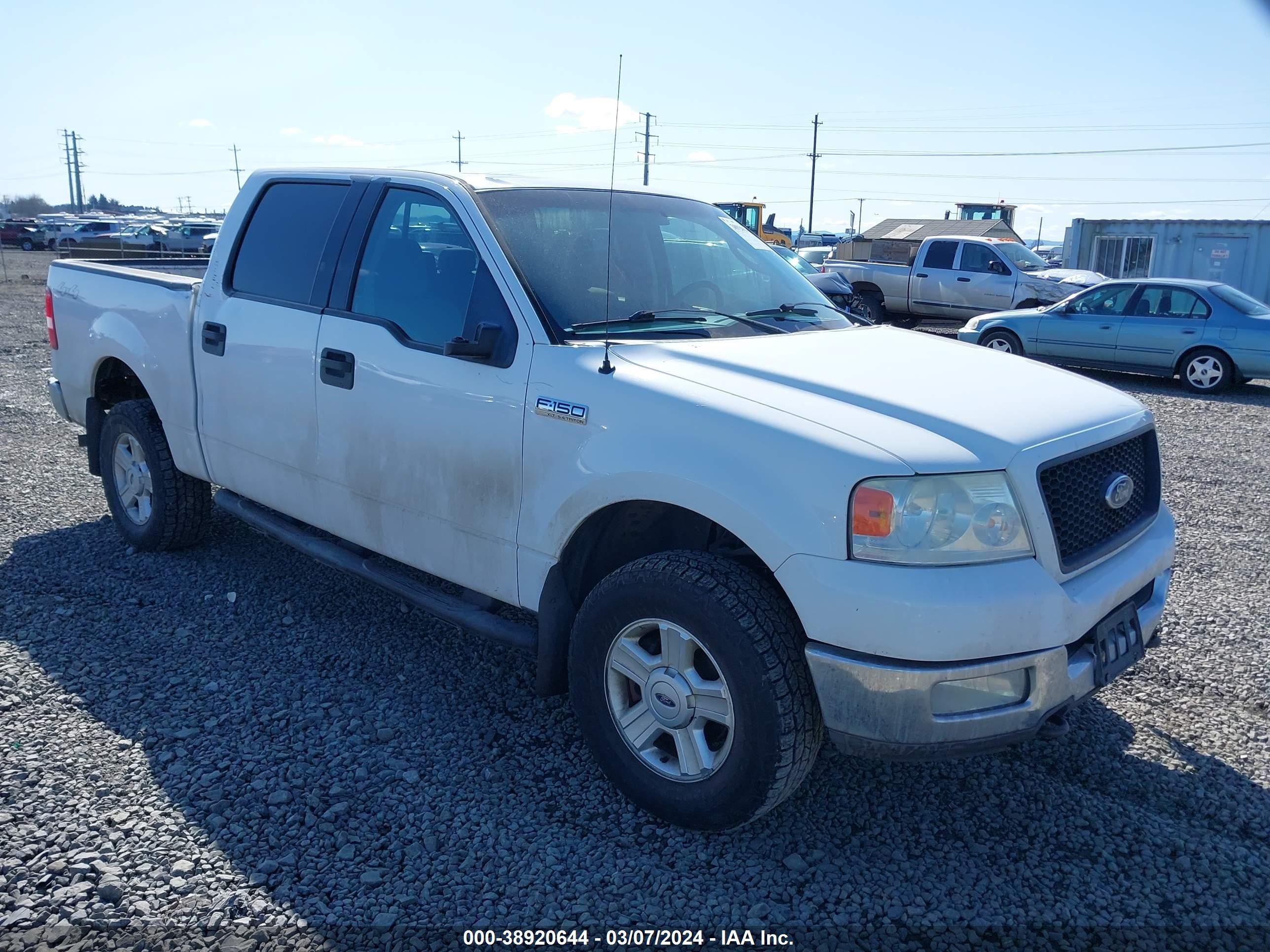 FORD F-150 2004 1ftpw14554kl94658