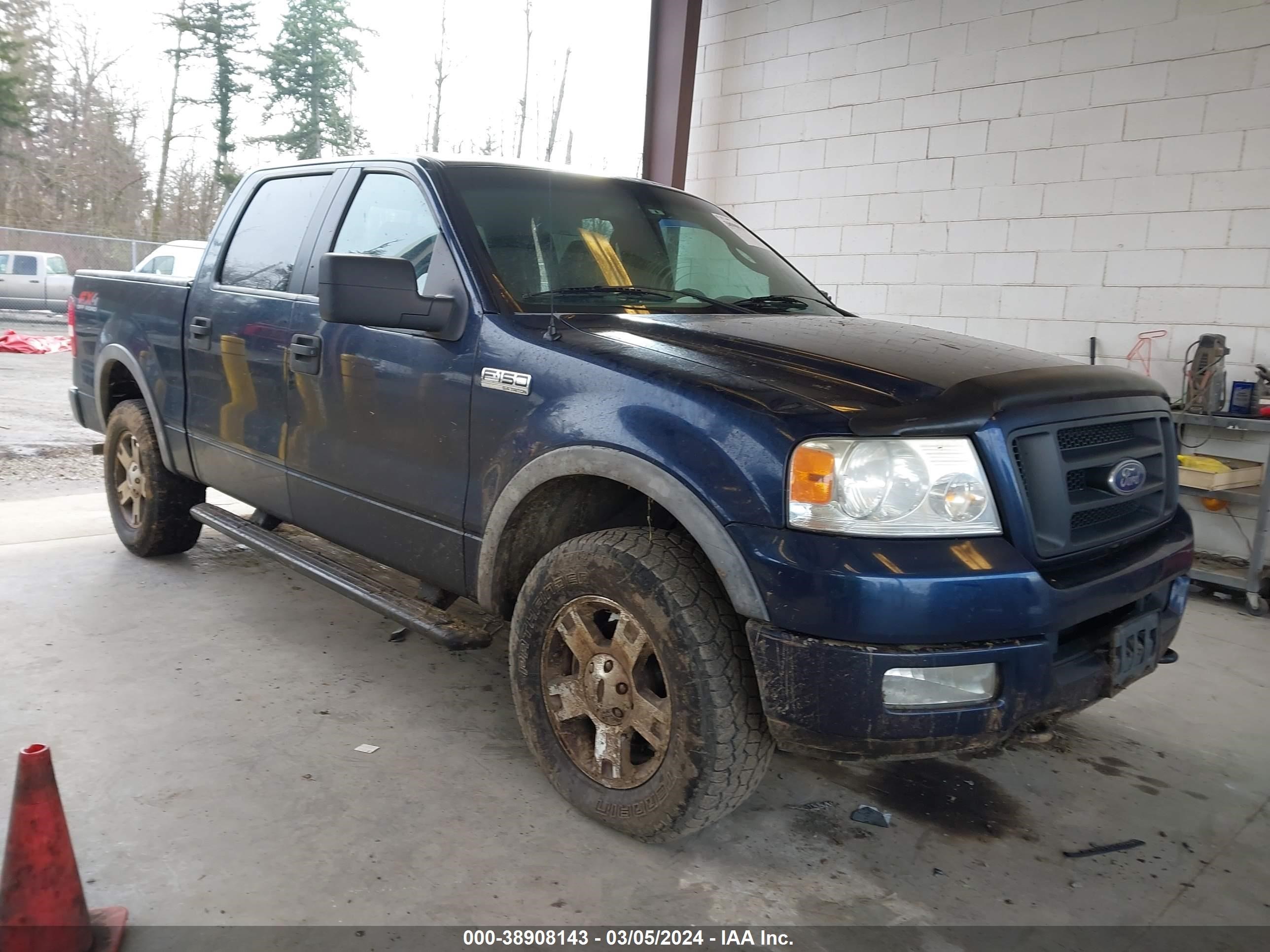 FORD F-150 2005 1ftpw14555fb07848