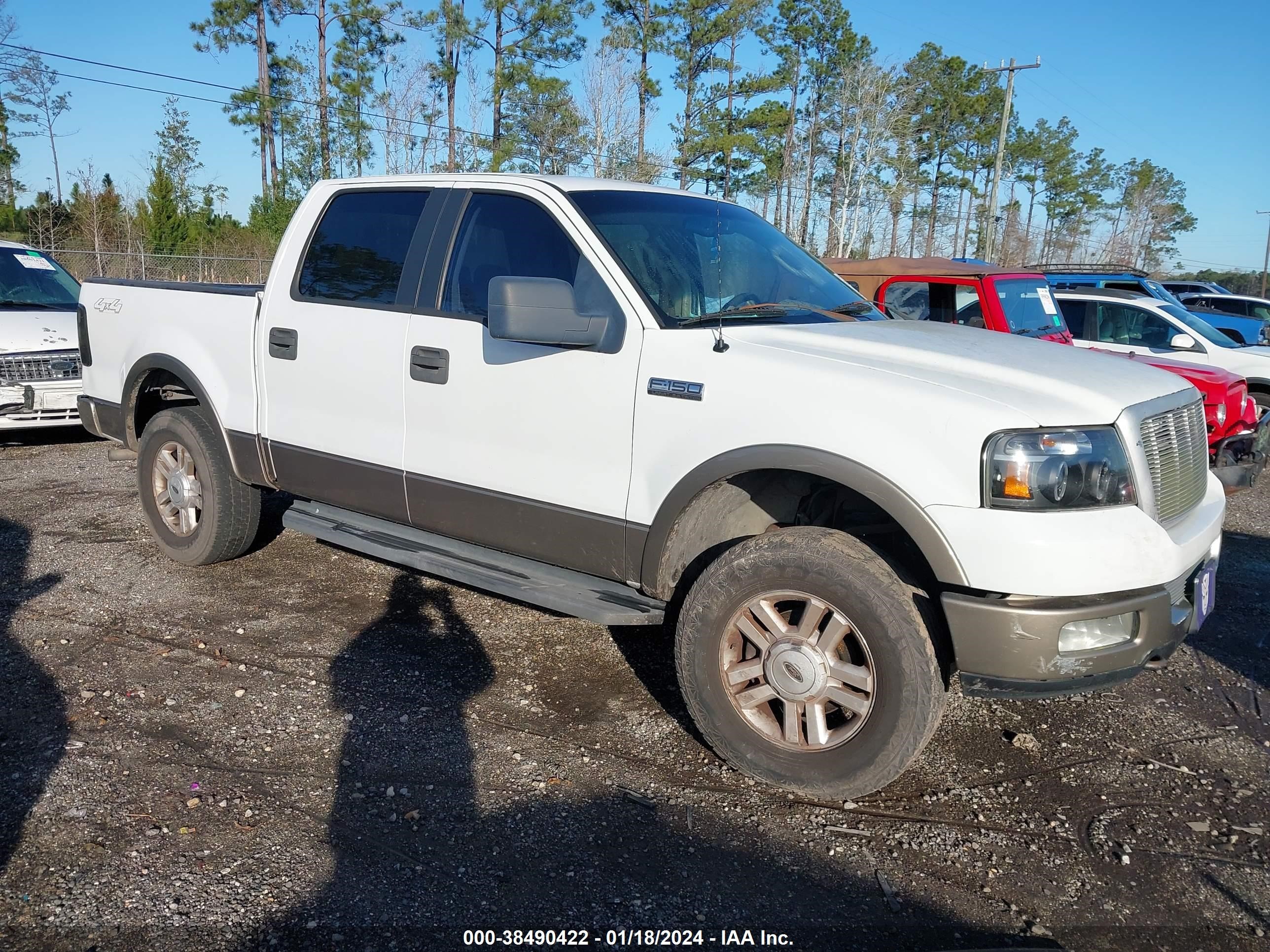 FORD F-150 2005 1ftpw14555kd67559