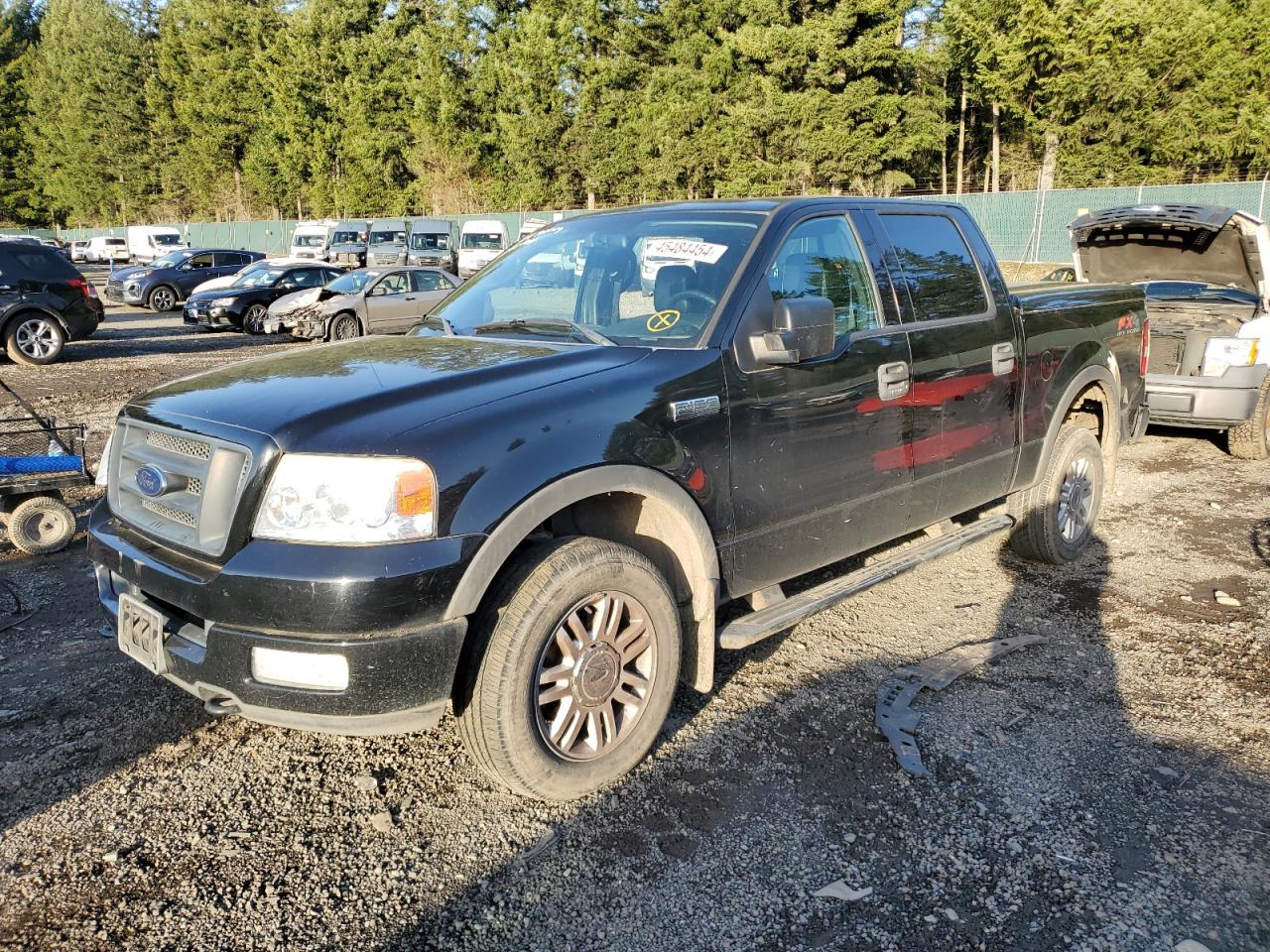 FORD F-150 2004 1ftpw14564kc09956