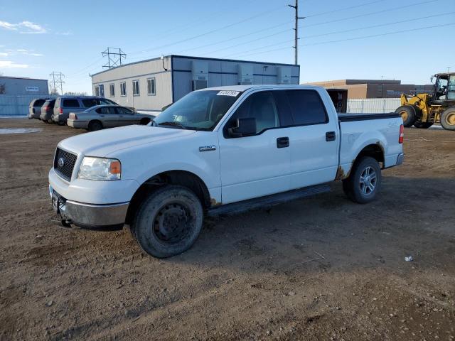 FORD F-150 2005 1ftpw14565fa49880