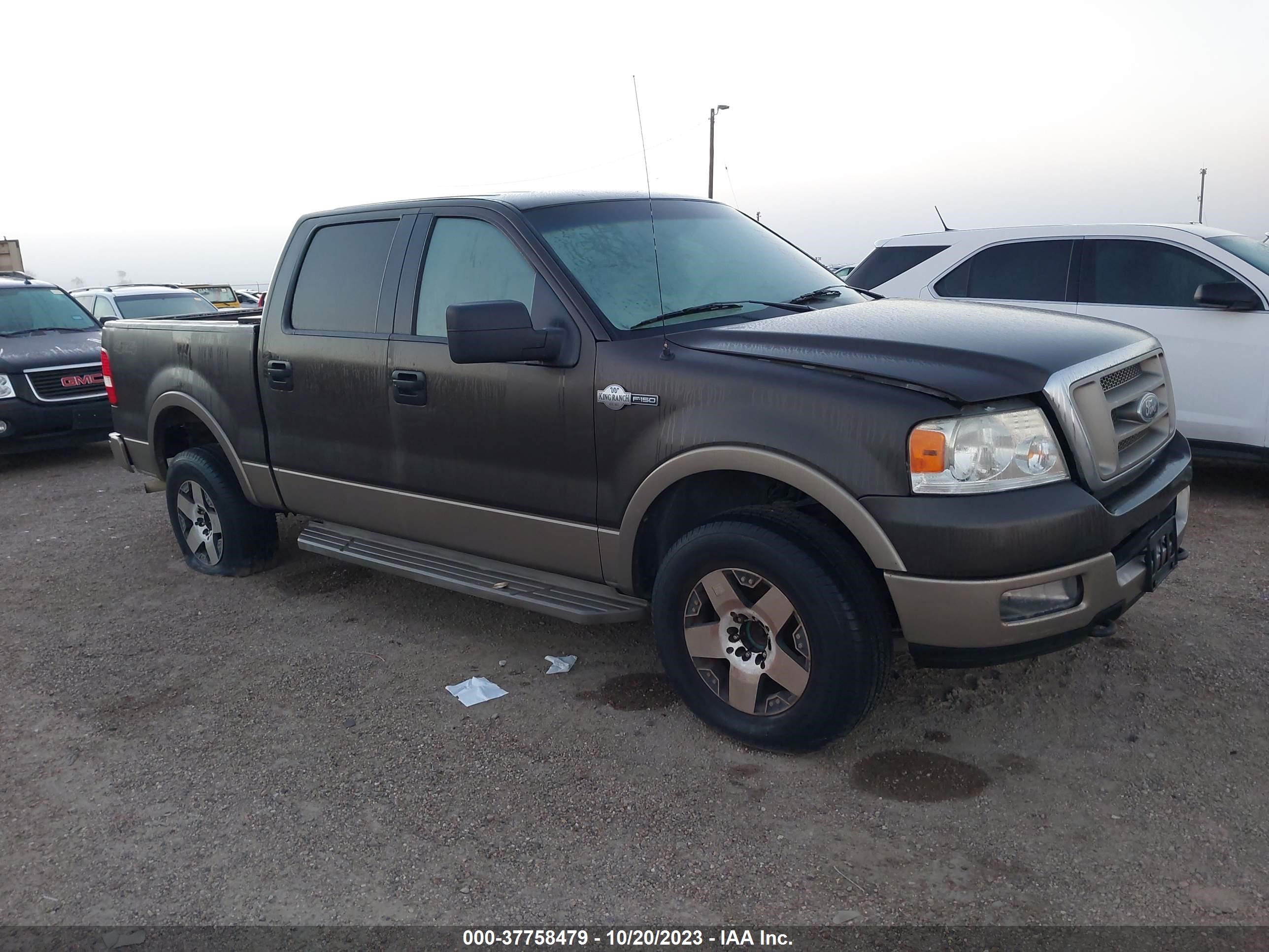 FORD F-150 2005 1ftpw14575ke91963