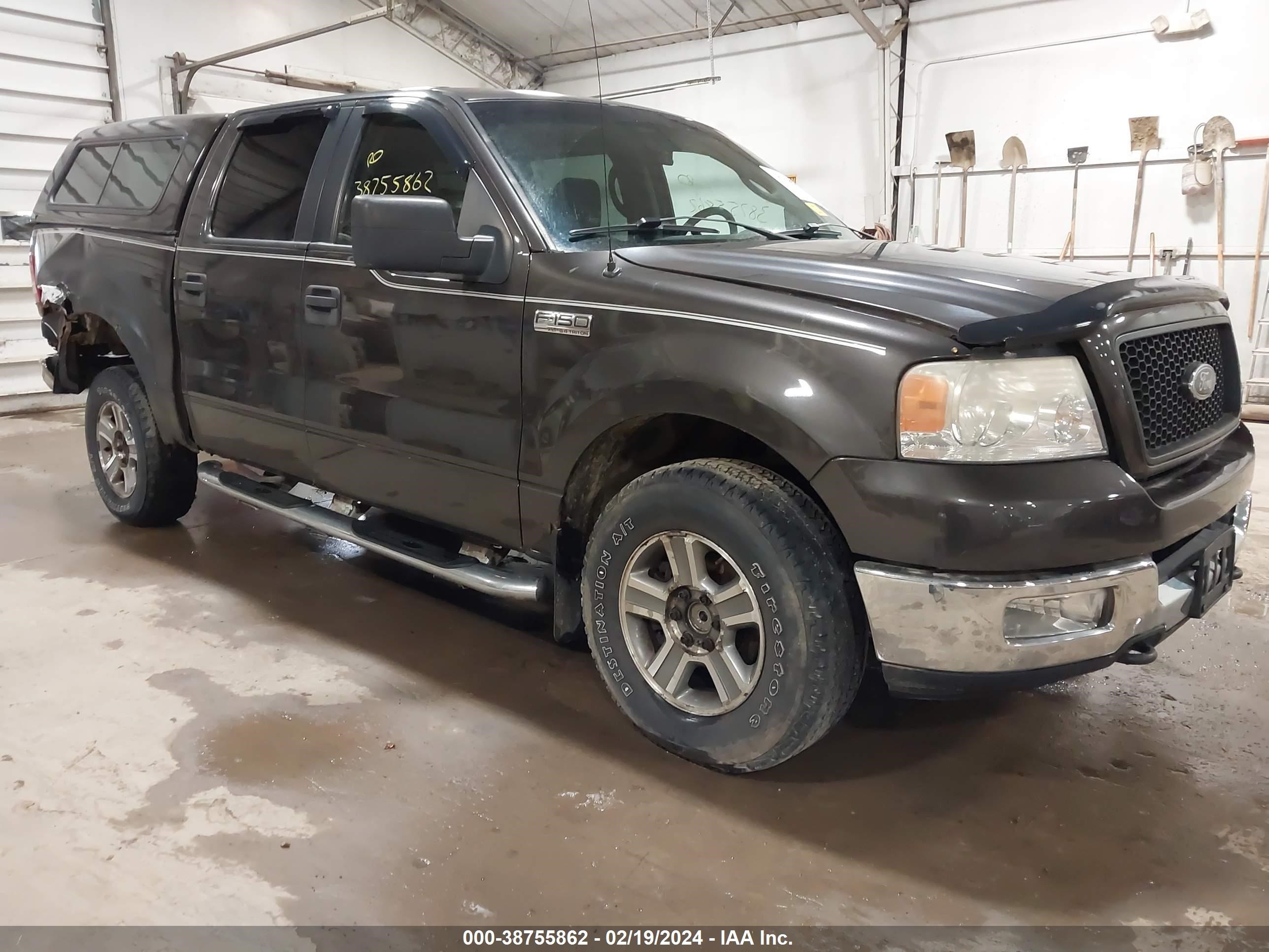 FORD F-150 2005 1ftpw14585fa74635