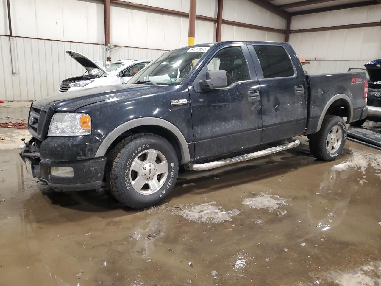 FORD F-150 2005 1ftpw14585fa77485