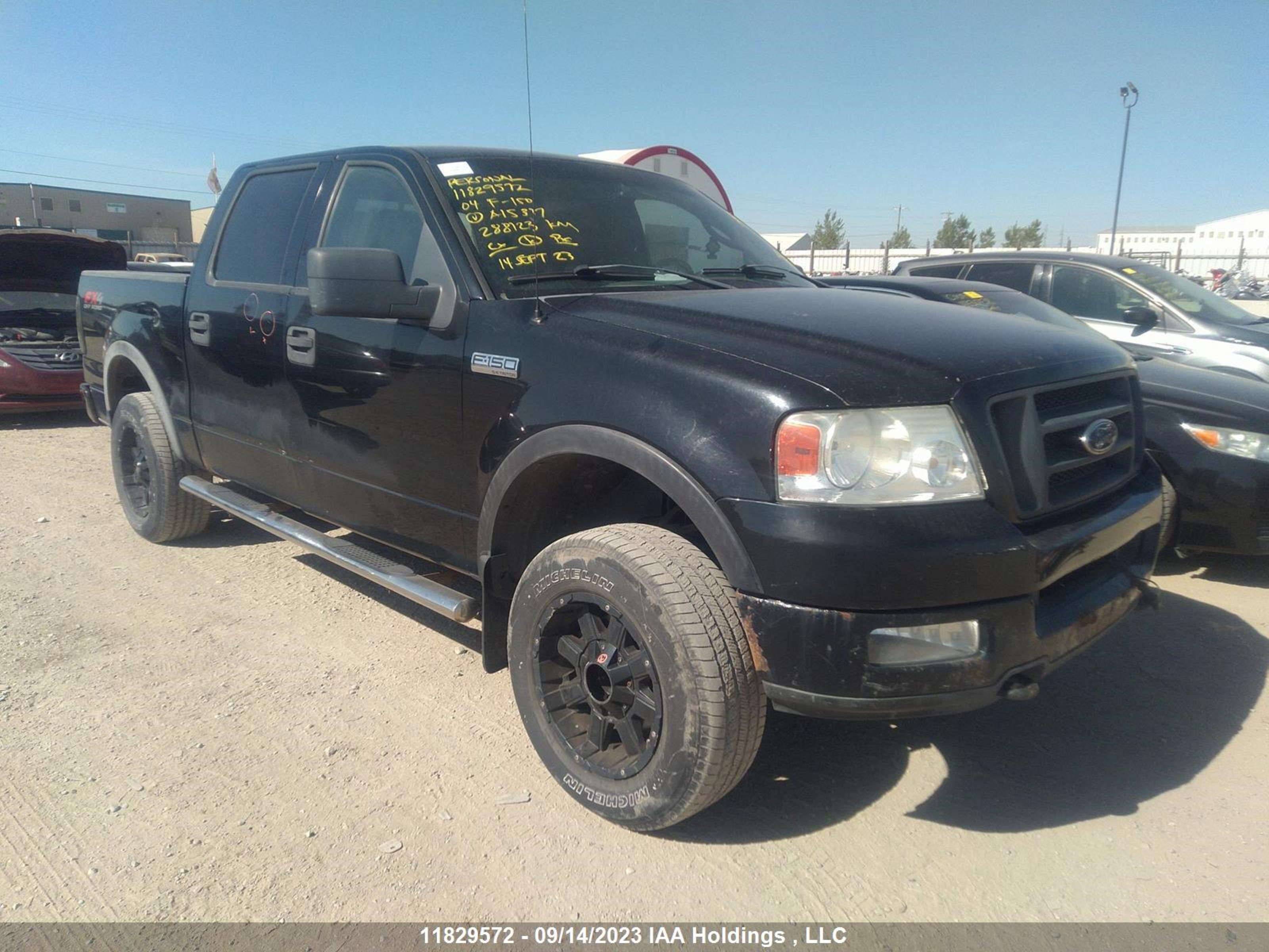 FORD F-150 2004 1ftpw14594fa15317