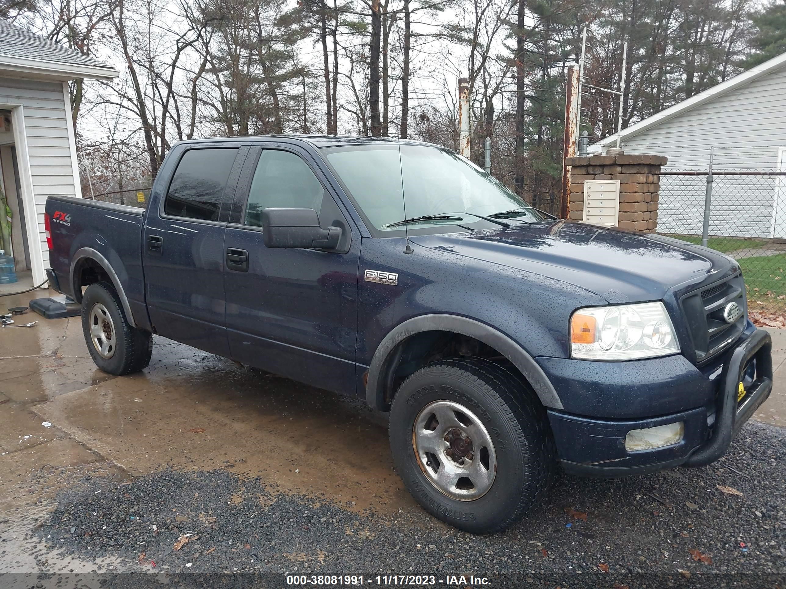 FORD F-150 2004 1ftpw14594kc29845