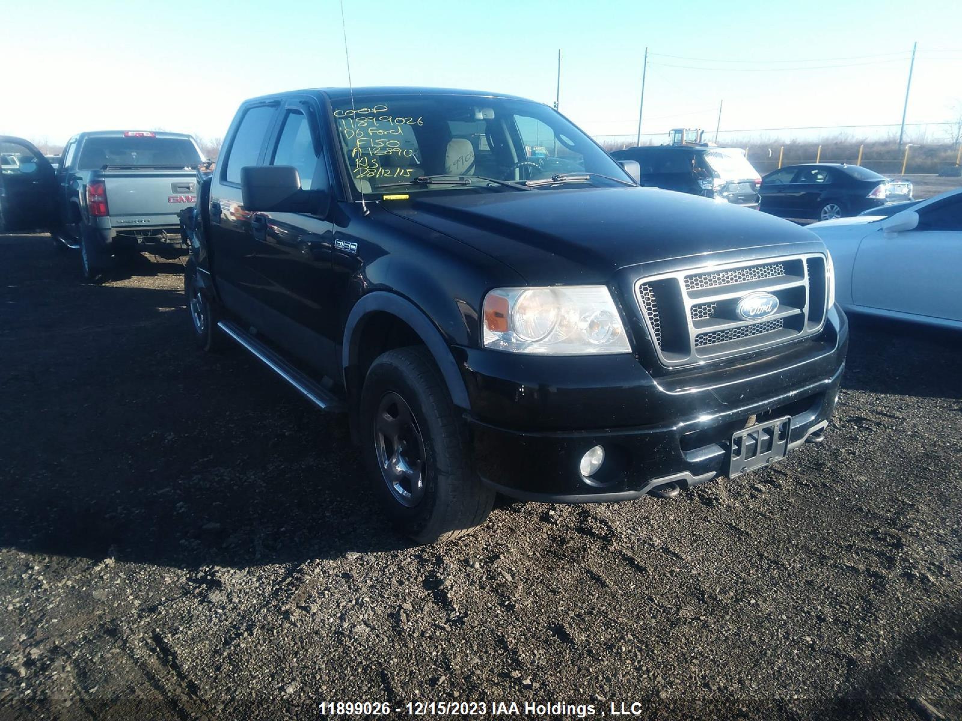 FORD F-150 2006 1ftpw14596fa12890