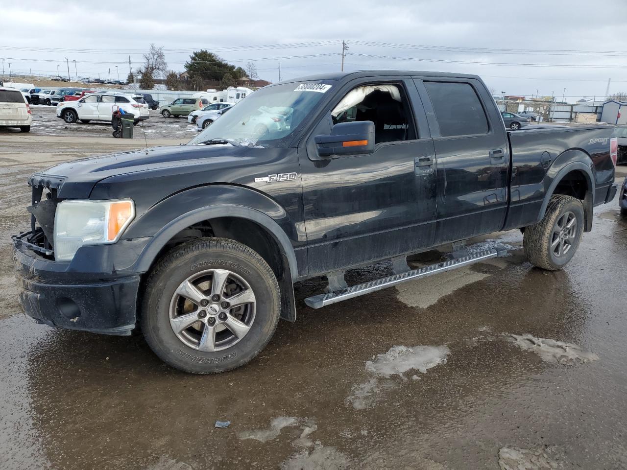 FORD F-150 2009 1ftpw14v09fa20994