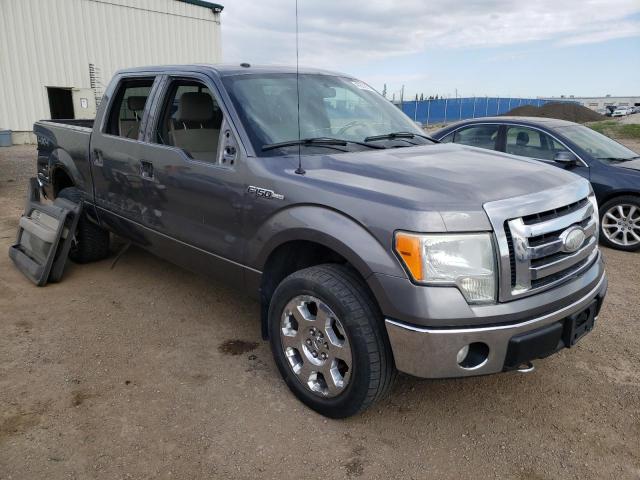 FORD F150 SUPER 2009 1ftpw14v09fa48424