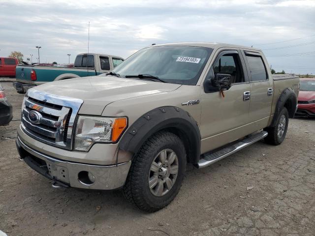 FORD F-150 2009 1ftpw14v09fb10033