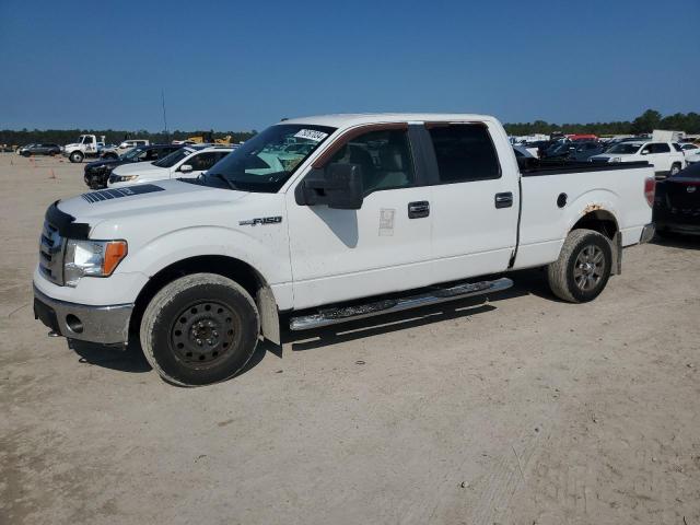 FORD F150 SUPER 2009 1ftpw14v09fb33005