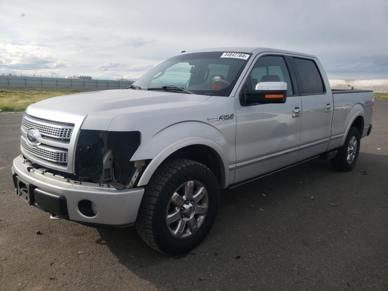 FORD F-150 2009 1ftpw14v09fb34994