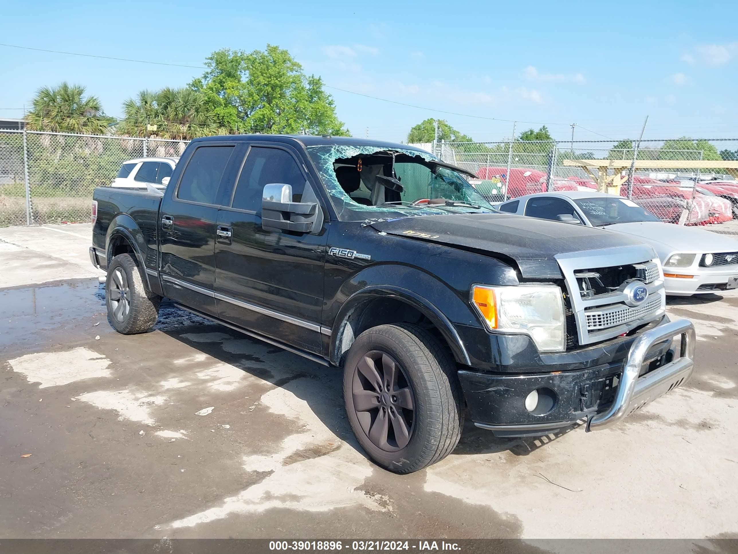 FORD F-150 2009 1ftpw14v09fb47423