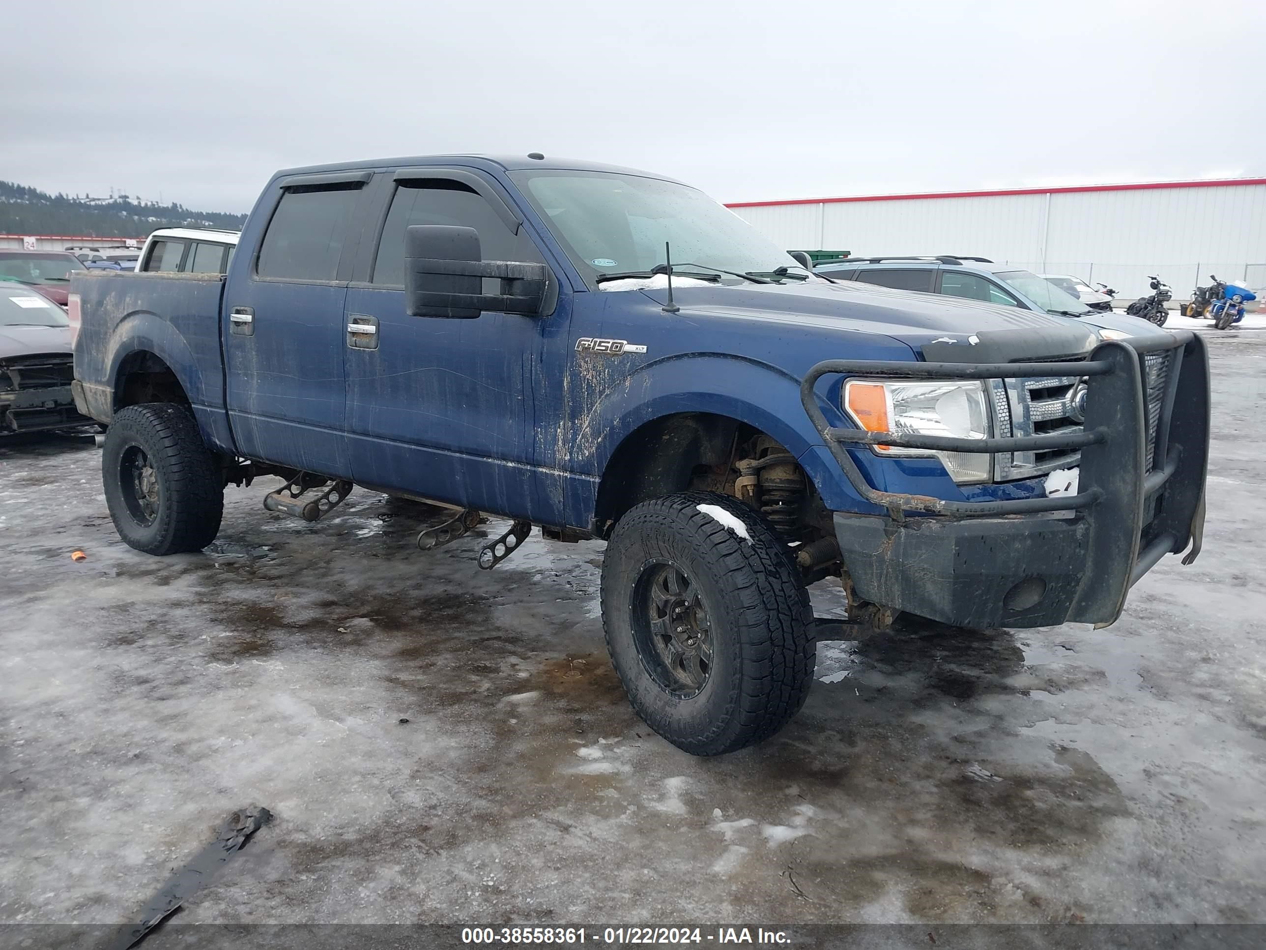 FORD F-150 2009 1ftpw14v09kb37126