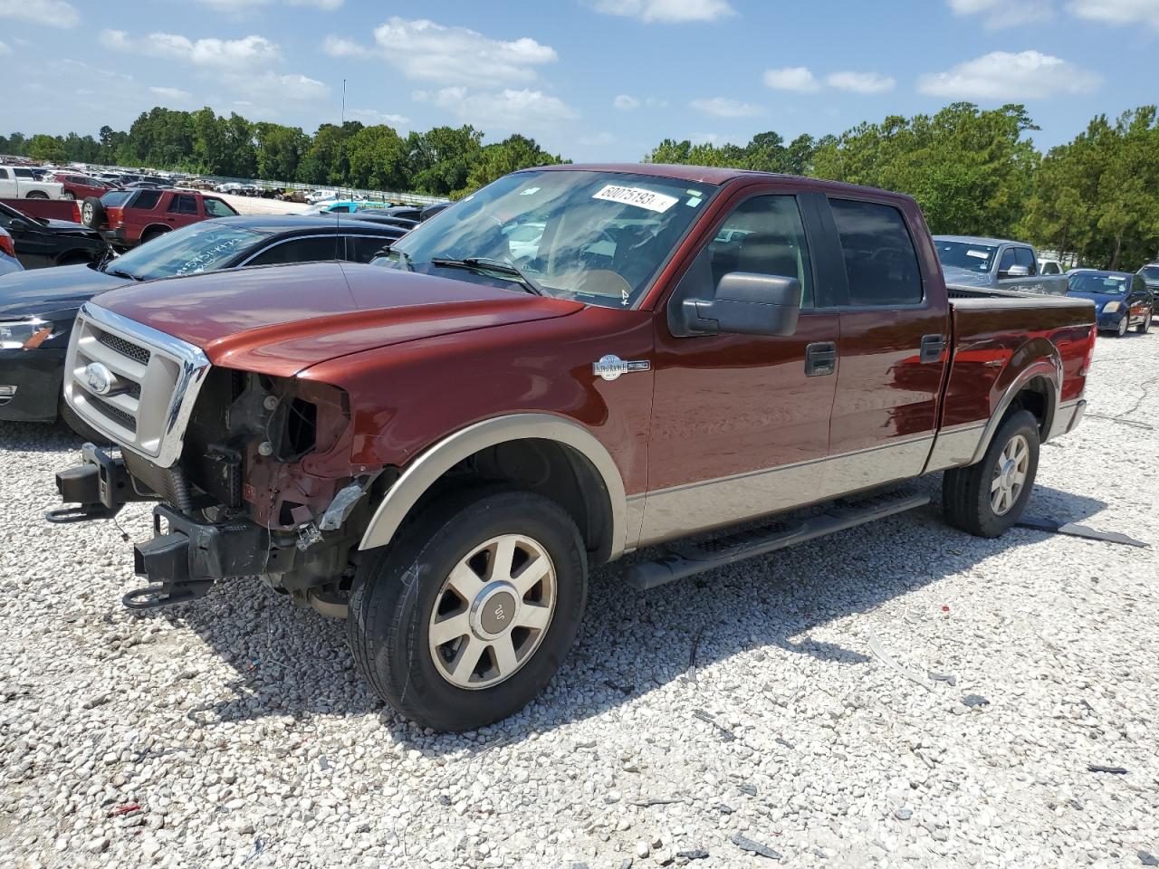 FORD F-150 2006 1ftpw14v16kc68285