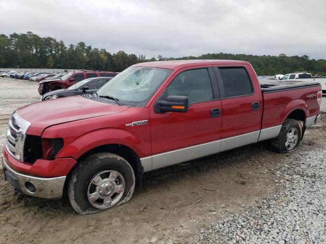 FORD F-150 2009 1ftpw14v19fa13813