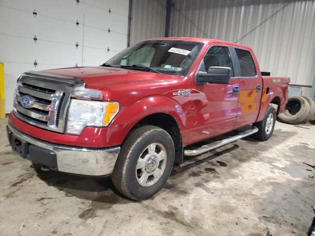 FORD F-150 2009 1ftpw14v19fb19176